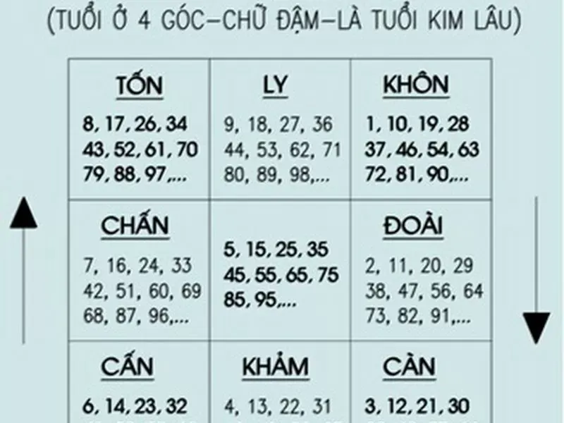 Có nên xây nối nhà không? Phong thủy và kết cấu khi xây nhà nối móng