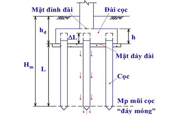 Đài Móng và Đài Cọc là gì? Kết cấu biện pháp thi công chuẩn nhất