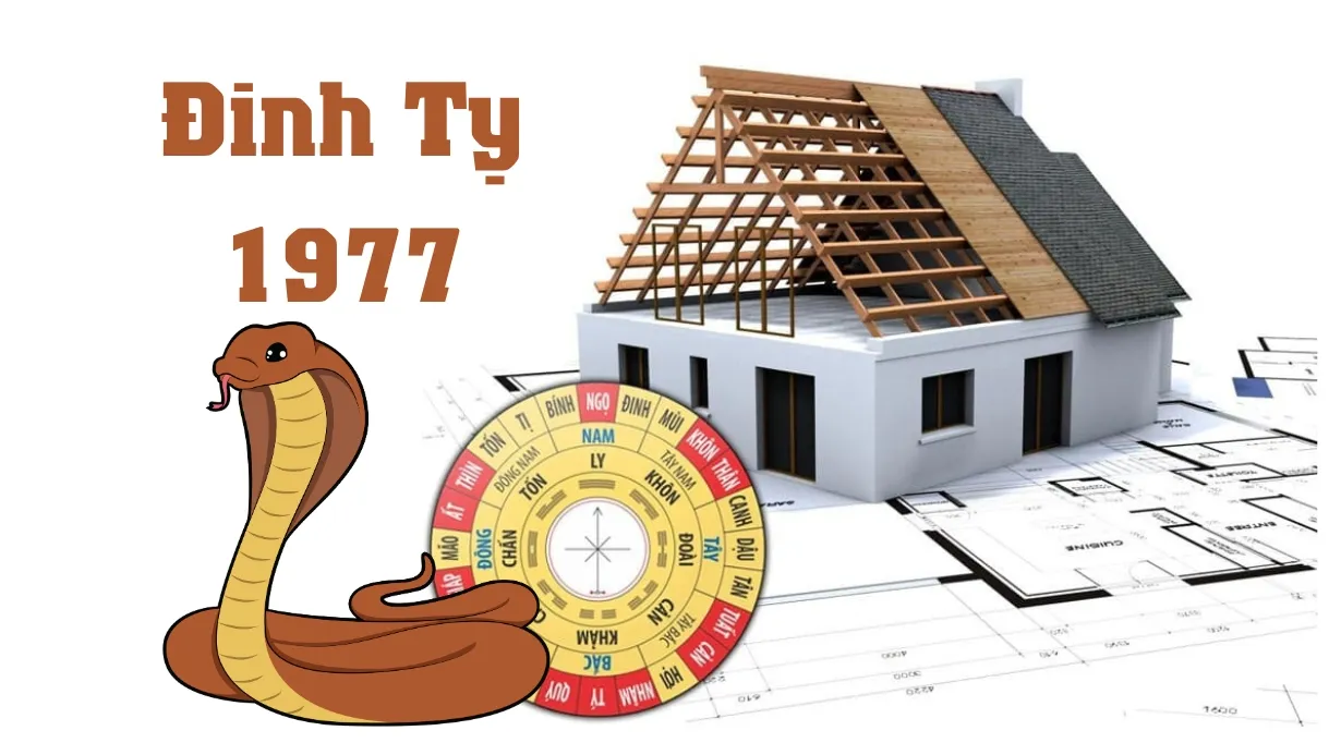 Đinh Tỵ – tuổi 1977 xây nhà năm 2024 có được không?