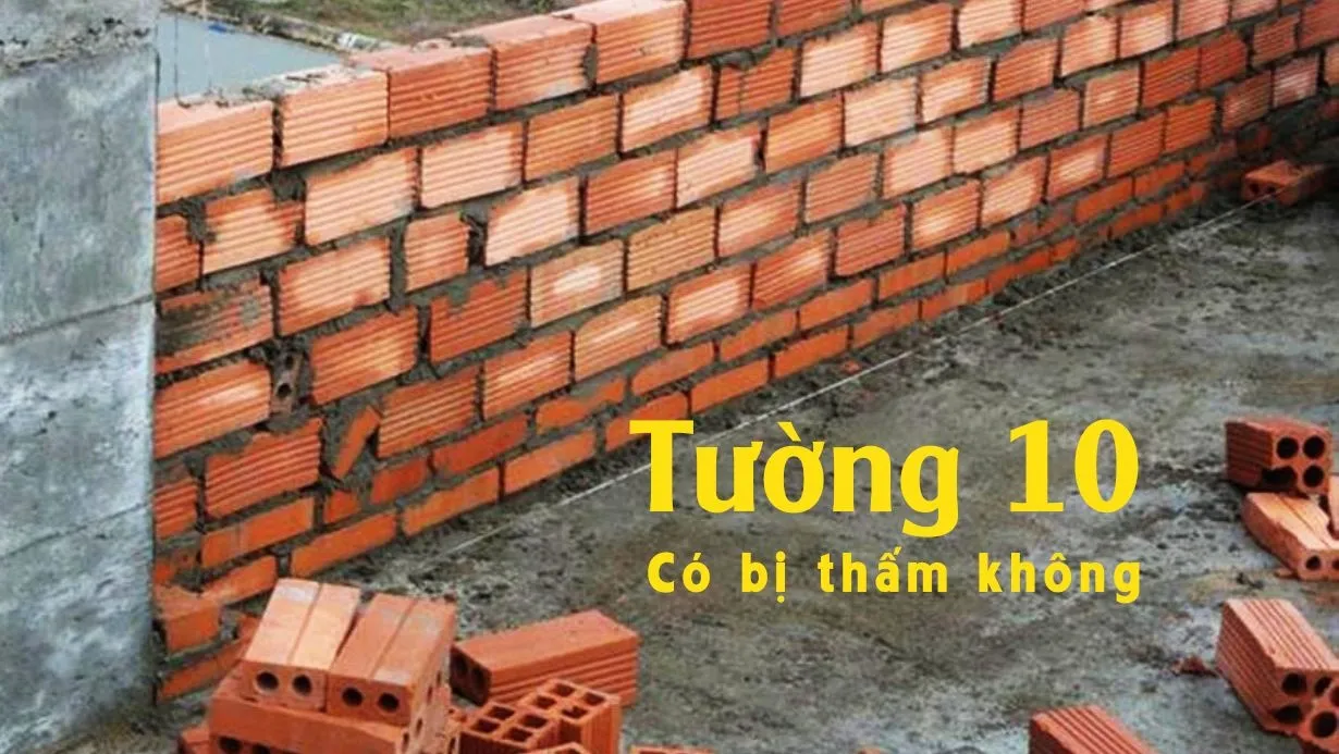 Nhà xây tường 10 có bị thấm không?