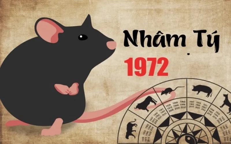 Nhâm Tý – sinh năm 1972 làm nhà năm nào thì đẹp ?